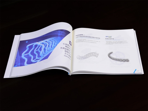 畫(huà)冊(cè)樣本